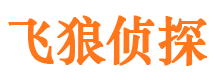 新建飞狼私家侦探公司